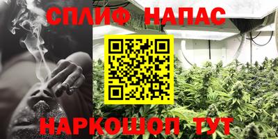 спайс Будённовск