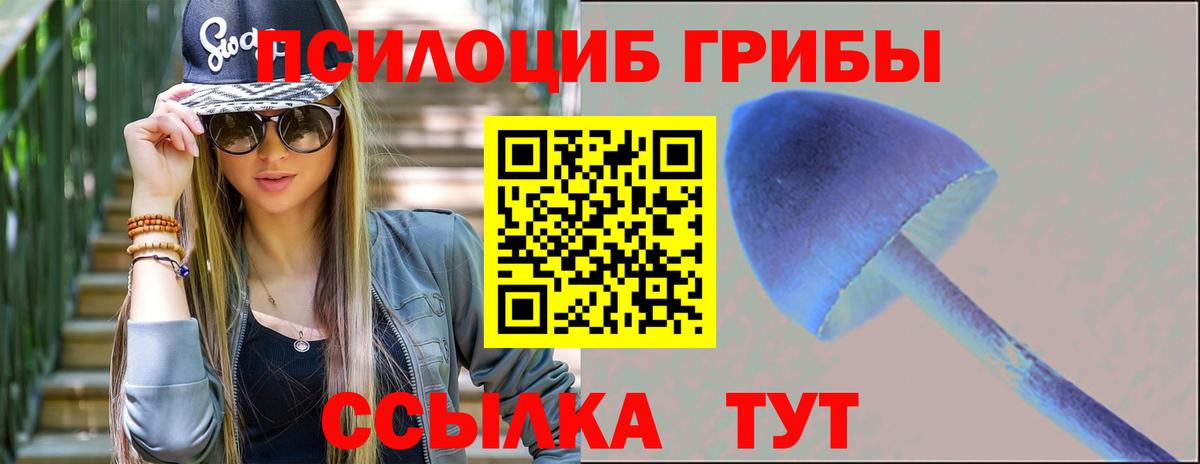 Канск  Галлюциногенные грибы мицелий  Вход с VPN 